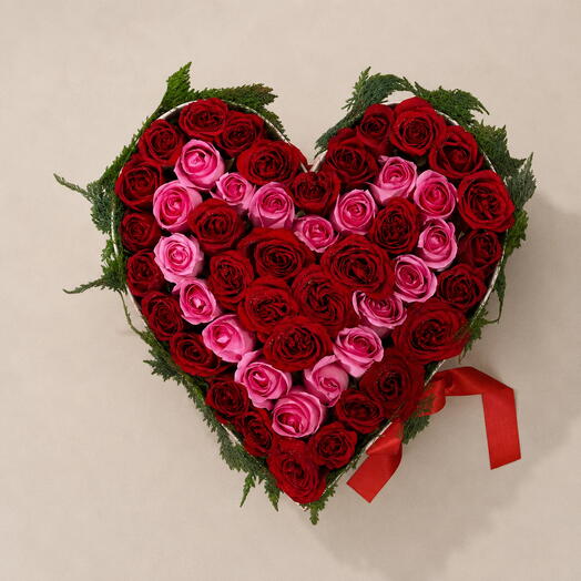 Pink   Red Passion Heart