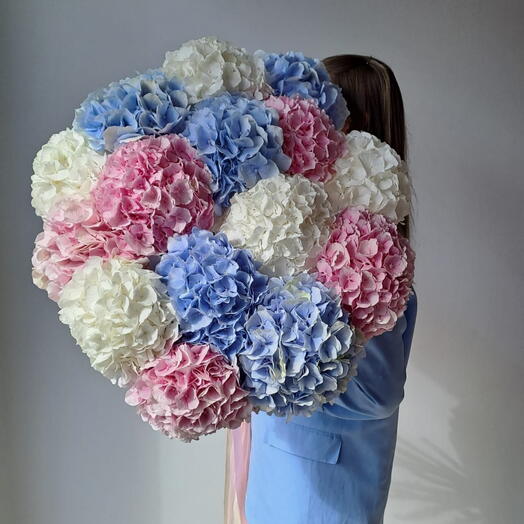 Hydrangea mix