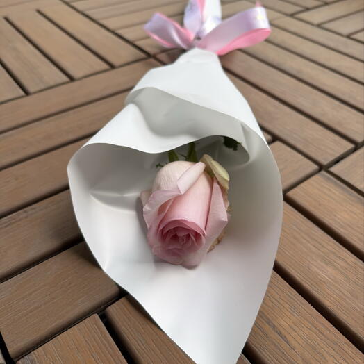 Pink Rose