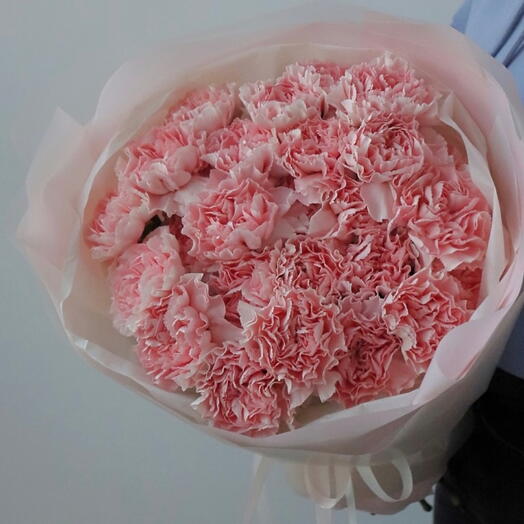 Pink Dianthuses