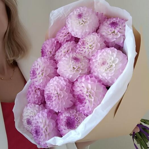 Dahlia mood