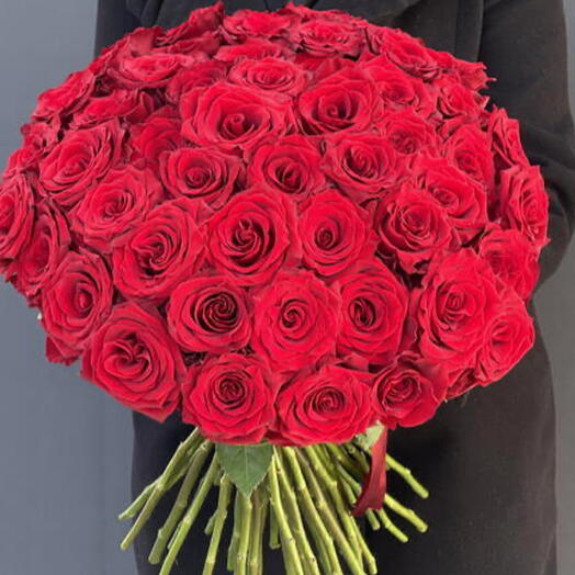 Rosa 51