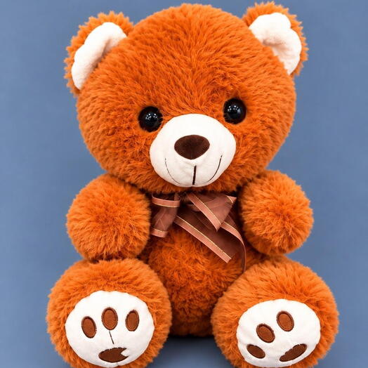 Teddy Bear Soft Toy 3