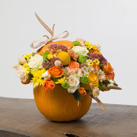 Pumpkin s Bloom