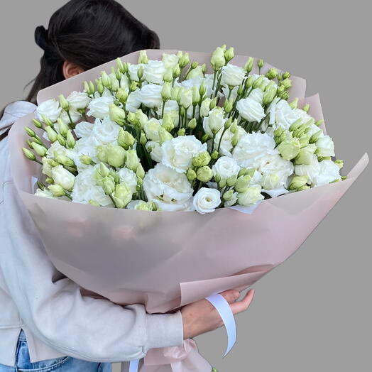 Eustoma