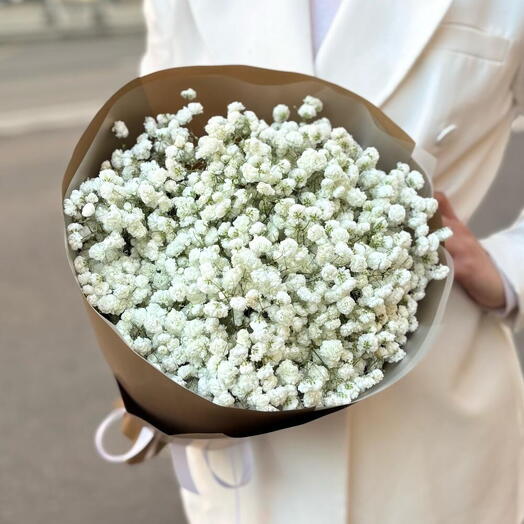 The white gypsophila