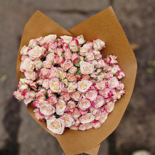 Bicolor bush roses