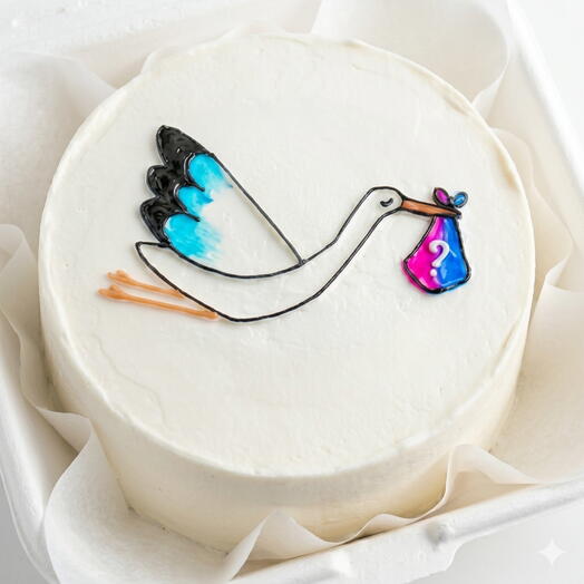 New Baby Stork Bento Cake