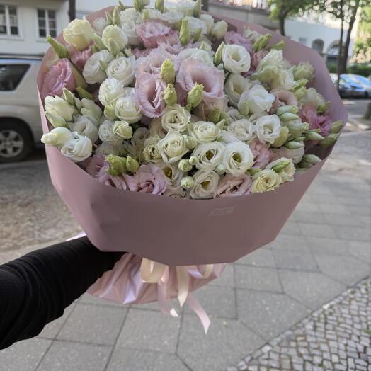 Eustoma L