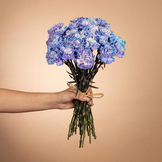25 Blue carnation
