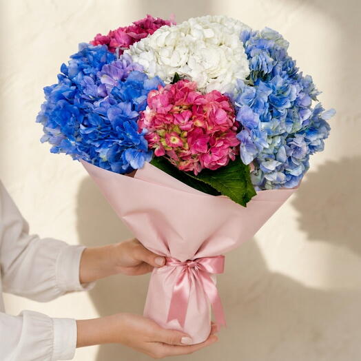 Penny Mac Royale-5 Premium Hydrangea Flower Bouquet - Deep Purple, Pink   White, Wrapped in Blush Pink Paper