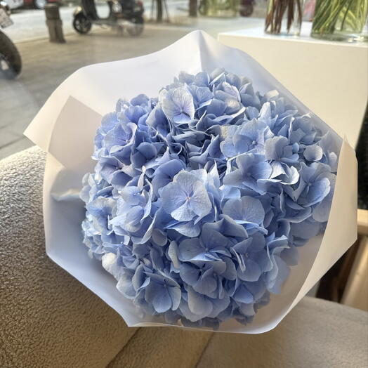 5 Blue Hydrangeas Bouquet