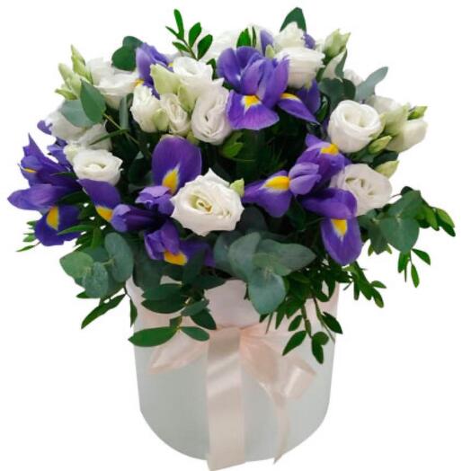Flowers in a box 5