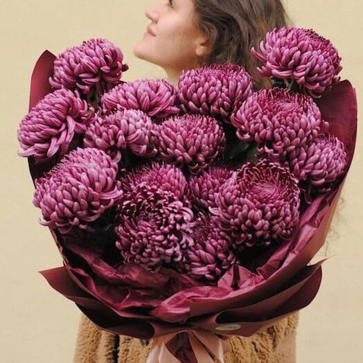 Purple Dream