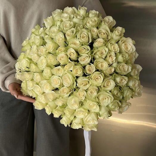 101 white rose