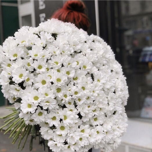 Spray chrysanthemums