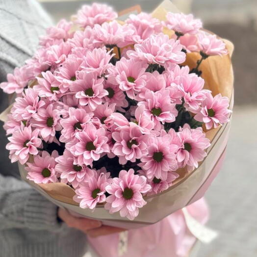 Chamomile chrysanthemum
