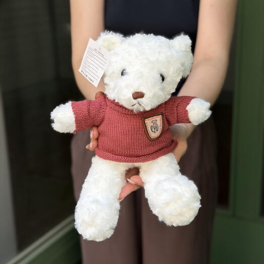 🧸 Small White Teddy