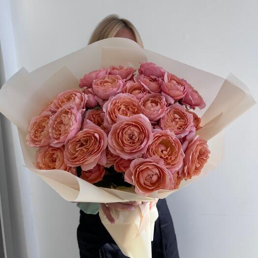 Juliet garden rose
