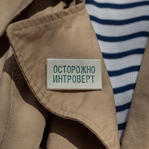 Ceramic brooch "Caution: introvert"