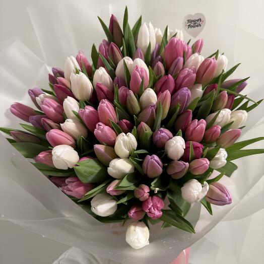 101 tulip