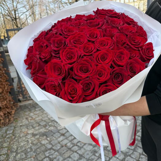 Red Roses 49