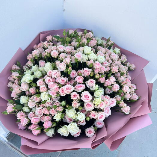 Pink and white spray roses