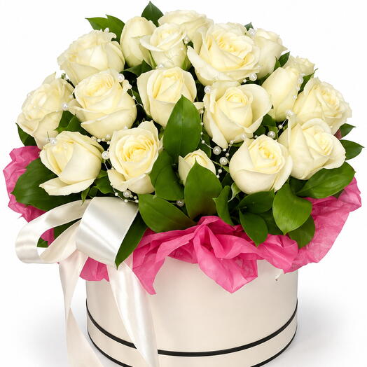 Rose white 25 box