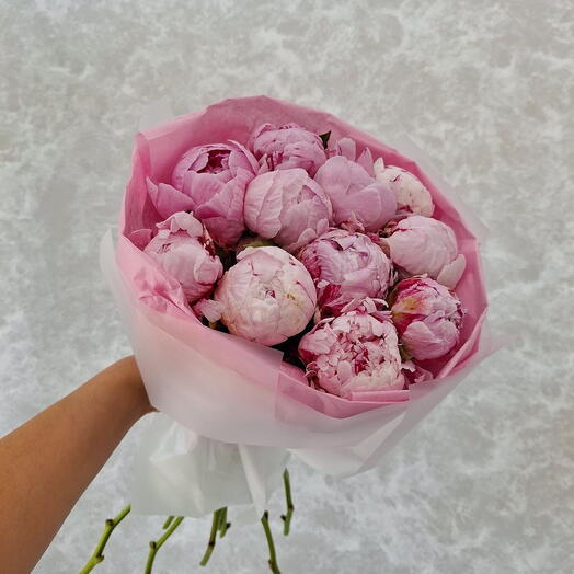 Peonies 11