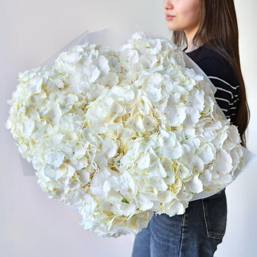White hydrangeas - 9