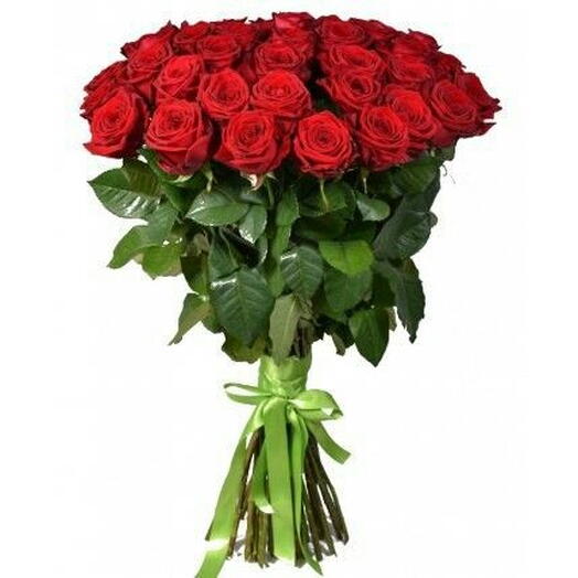 Roses 70cm