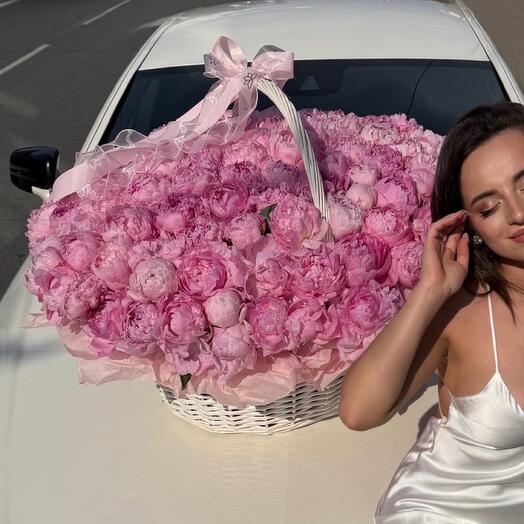 Peony pleasure