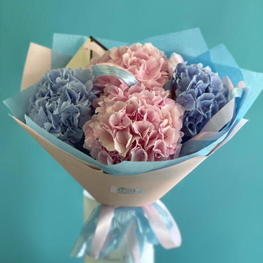 4 Hortensia