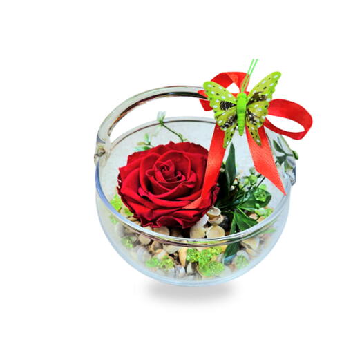Preserved rose in a glass basket - "Green"