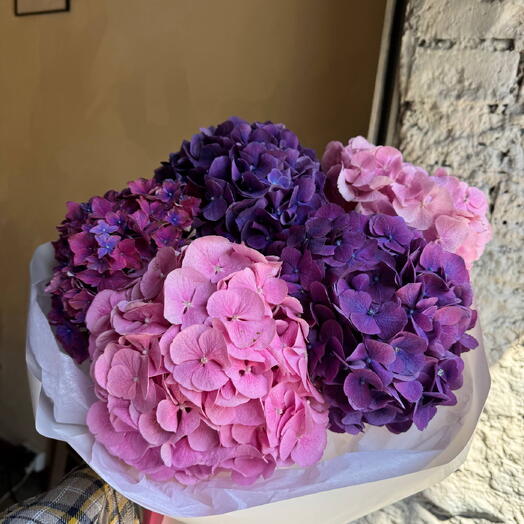 Bouquet of hydrangeas
