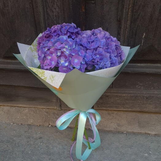 Lilac Hydrangea 🫐