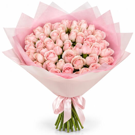 Roses 51 pink