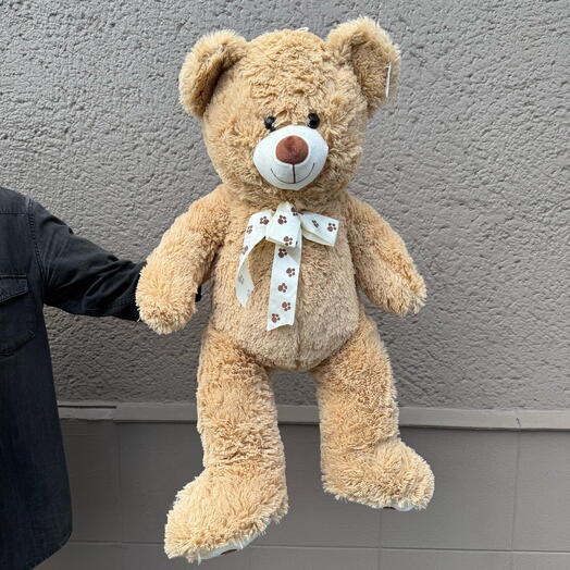 Cute brown teddy bear