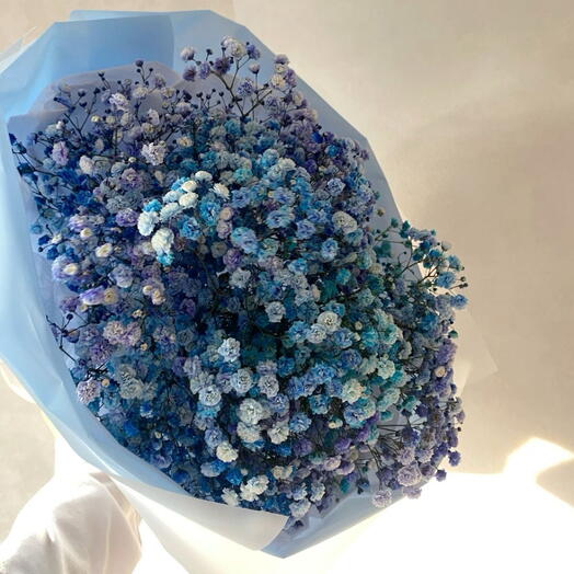 Rainbow gypsophila bouquet S