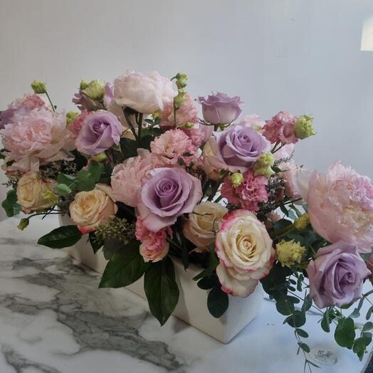 Blush Harmony