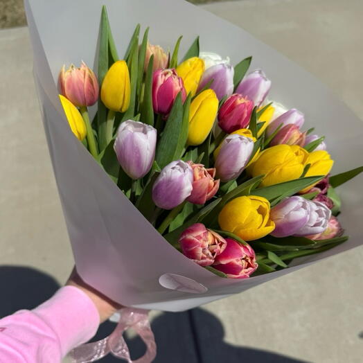 Tulips rainbow