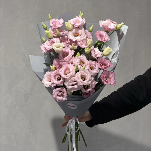 Różowa eustoma 9