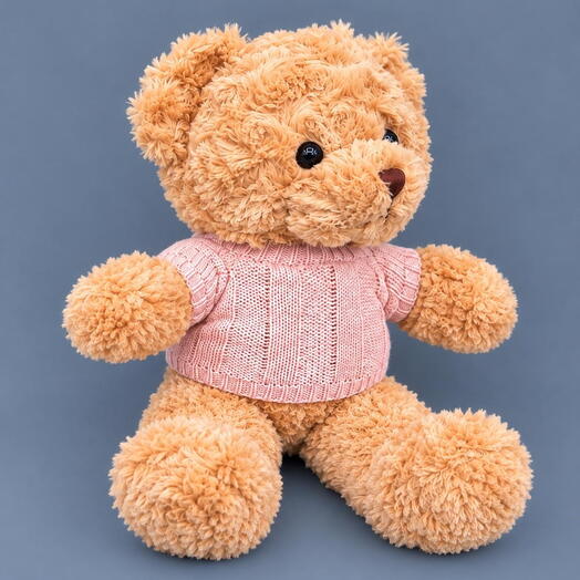 Teddy Bear in a pink sweater soft toy