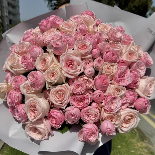 Mix garden roses pink