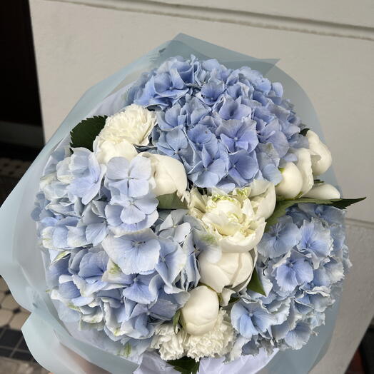Blue hydrangeas