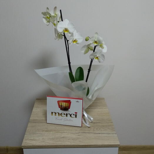 Orchid+milk chocolate Merci