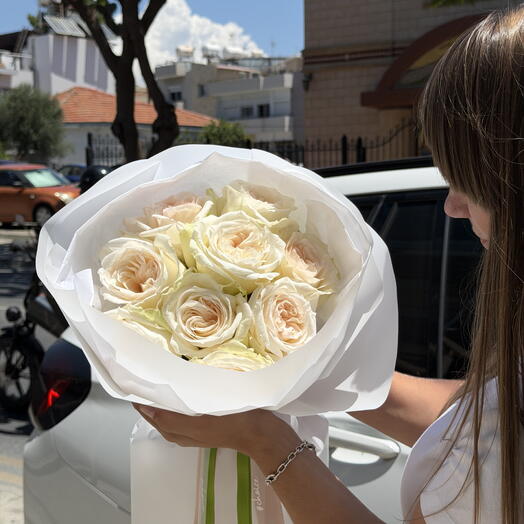 White Ohara Roses XS