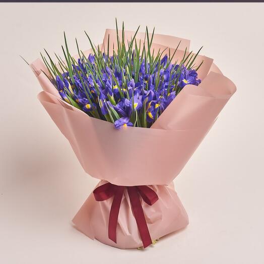 55 Irises
