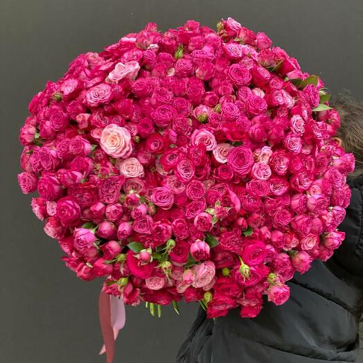 201 roses "Bombastic"