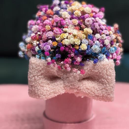 Rainbow gypsophila